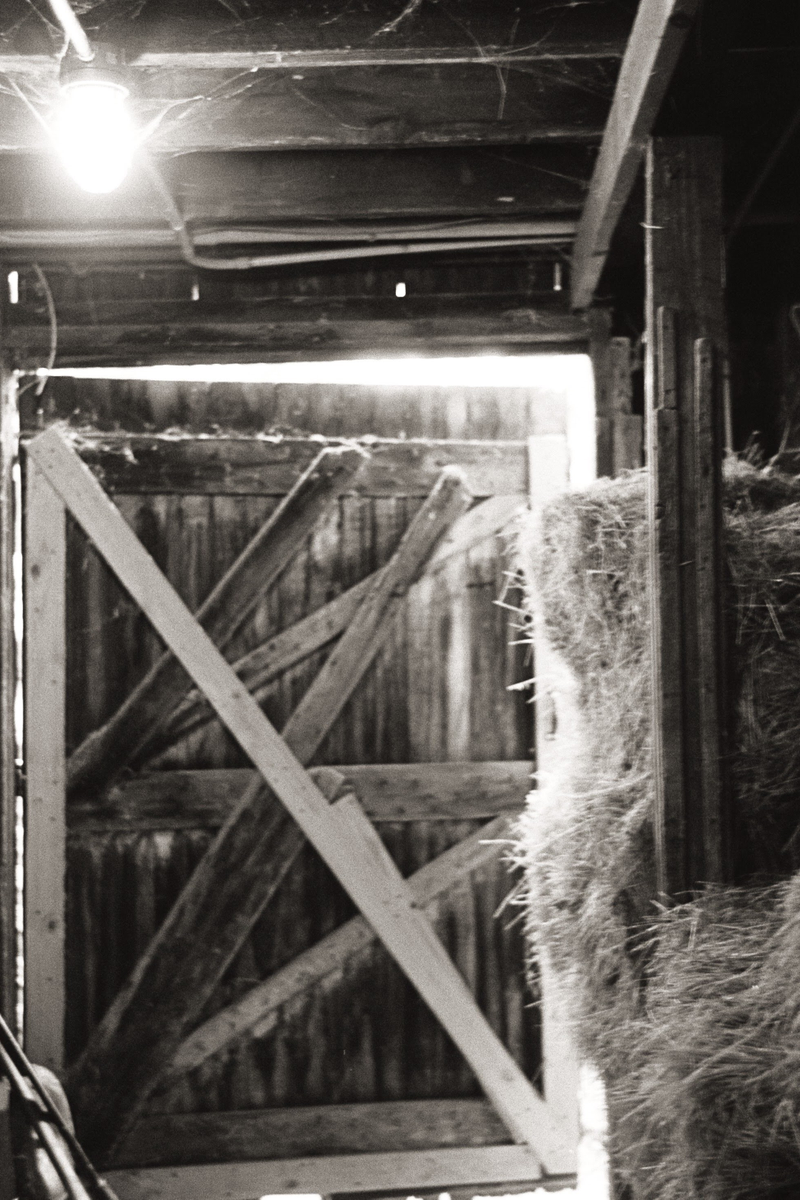 Illustration for article titled 2 rolls of tri-x 400